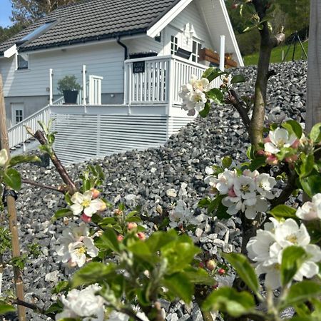 Fjord Road Apartment Hjelmeland Exterior photo